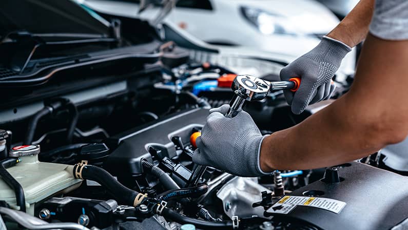 Professional motor mechanics service